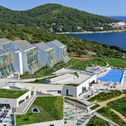 Hotel Valamar Lacroma Dubrovnik